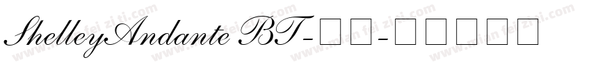 ShelleyAndante BT-常规字体转换
